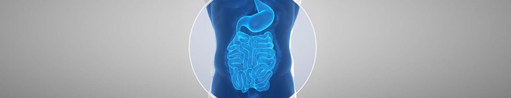 Medizinische Illustration von Magen und Darm in Blau auf grauem Hintergrund