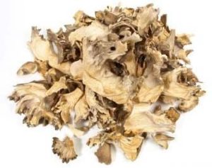 A heap of dried maitake mushroom on white background