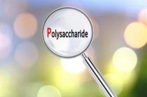 Magnifying glass through which you can read the word polysaccharides