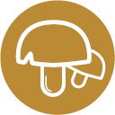 Goldenes rundes Icon mit weißer Strichzeichnung von zwei Pilzen