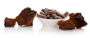 Pieces of chaga and a small bowl with mushroom powder capsules on white background