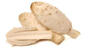 Fresh corinus mushroom shot on white background