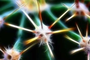 Ilustração 3-D da rede neural e das vias nervosas