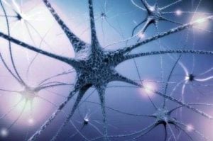 3-D Illustration von von menschlichen Nervenzellen und Verbindungen