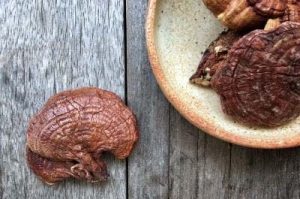 Dried reishi mushrooms on rustic wooden table and plate