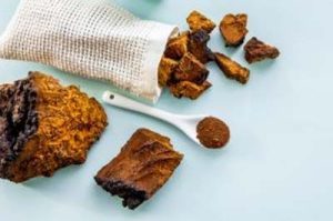 Different sized pieces of the medicinal mushroom Chaga, partly in a cloth bag and ground on a spoon