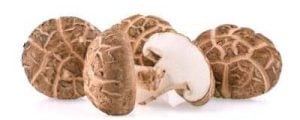 Cogumelos Shiitake sobre um fundo branco