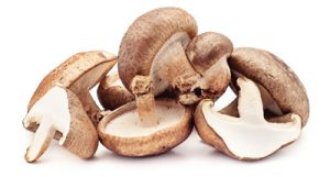 Un gruppo di funghi shiitake freschi su sfondo bianco