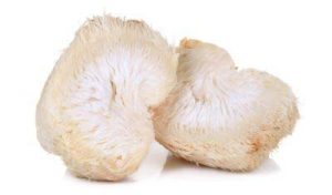 Image of sliced Hericium mushroom on white background
