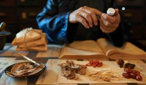 Darstellung von traditioneller chinesischer Medizin mit getrockneten Pilzen und Kräutern im asiatischen Ambiente