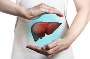 Foto de uma pessoa segurando as suas mãos de forma protectora à volta de um fígado em frente do seu corpo
