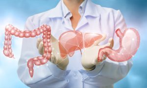 Devant le torse d'une femme en blouse de médecin et gants en latex, on voit une illustration en 3D des intestins, du foie et de l'estomac.