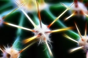 Ilustración en 3-D de las células nerviosas humanas y sus conexiones