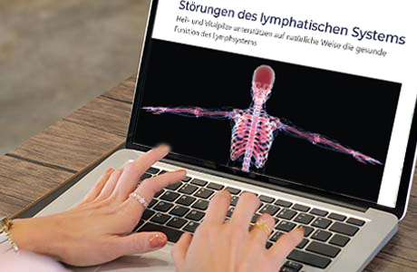 Frauenhände auf der Tastatur eines Laptops - auf dem Bildschirm ist eine Fachinformation zum Lymphsystem zu sehen