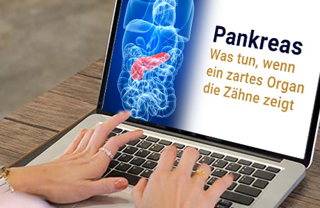 Frauenhände auf der Tastatur eines Laptops - auf dem Bildschirm ist eine Fachinformation zum Thema Pankreas zu sehen