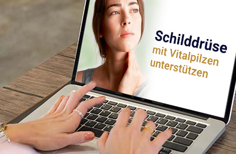 Frauenhände auf der Tastatur eines Laptops - auf dem Bildschirm ist eine Fachinformation zum Thema Schilddrüse zu sehen