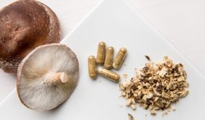 Deux champignons shiitake frais sur fond blanc, avec à droite des capsules de poudre de champignons et des champignons séchés broyés.