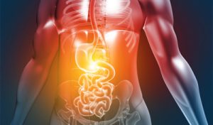 Illustration 3D d'une partie du système digestif qui émet une lumière jaune-orange alarmante. L'estomac est particulièrement touché.