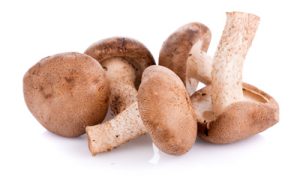 A group of fresh shiitake mushrooms on white background