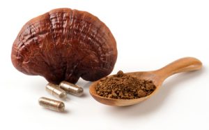 Reishi mushrooms with three capsules and mushroom powder on wooden spoon on white background