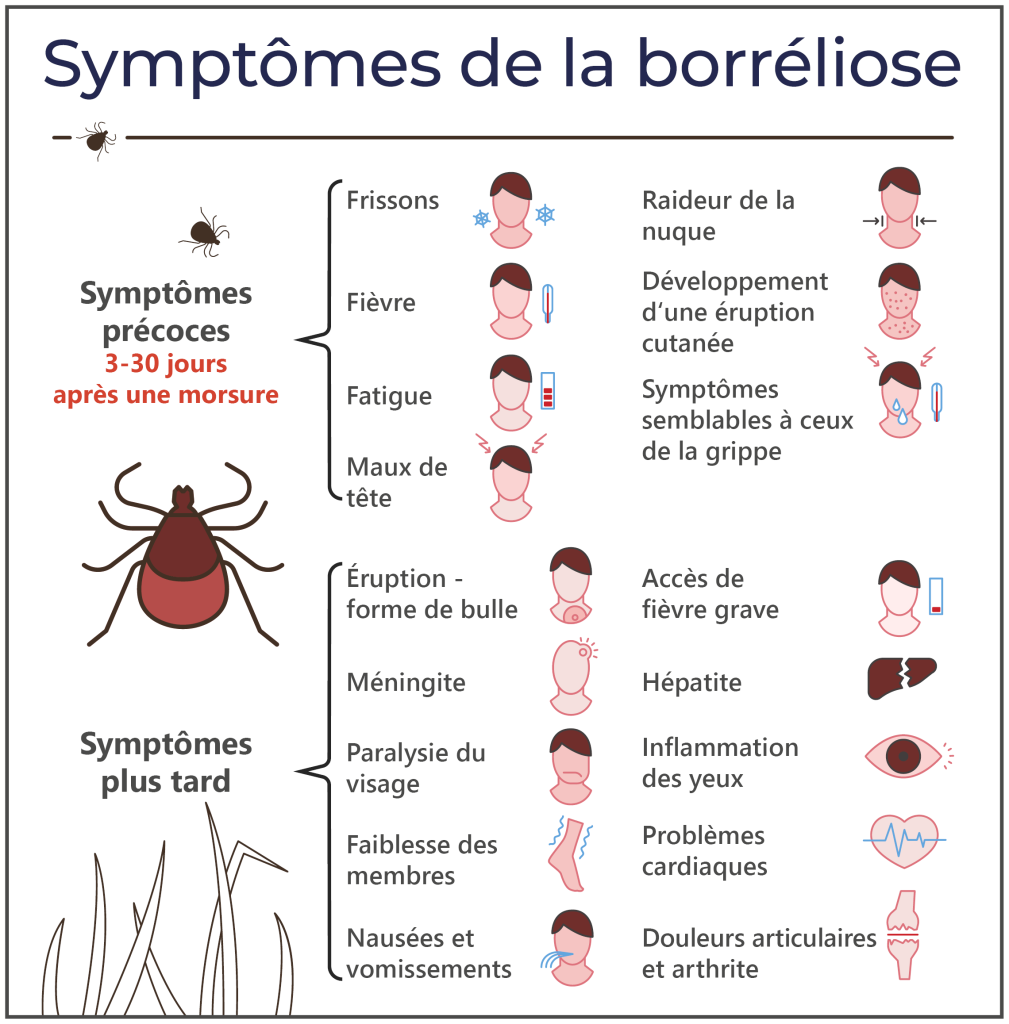 Grafik mit der Darstellung verschiedenster Borreliose-Symptome
