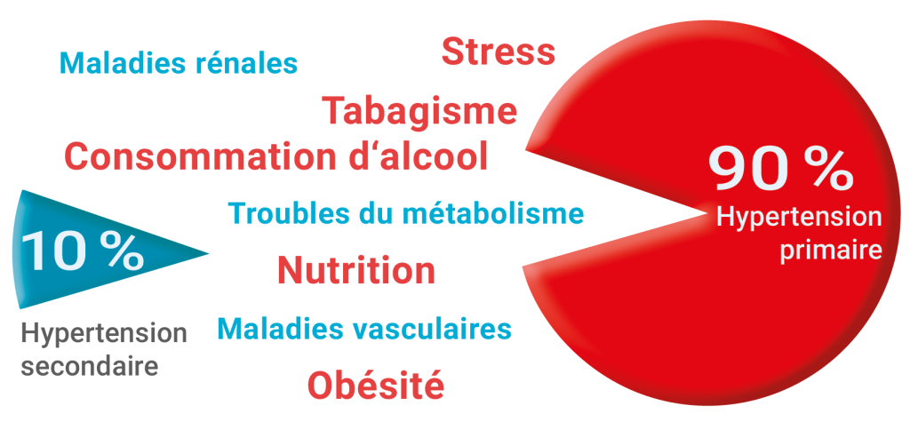 Un graphique représentant les différentes causes de l'hypertension artérielle