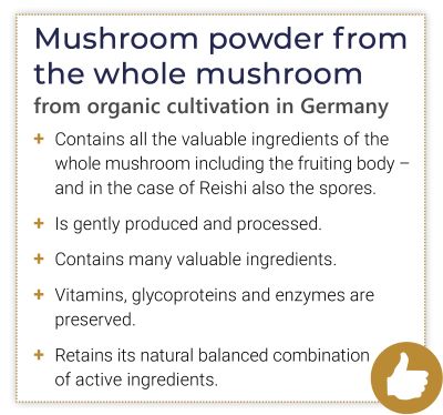Box with the benefits of whole mushroom powder