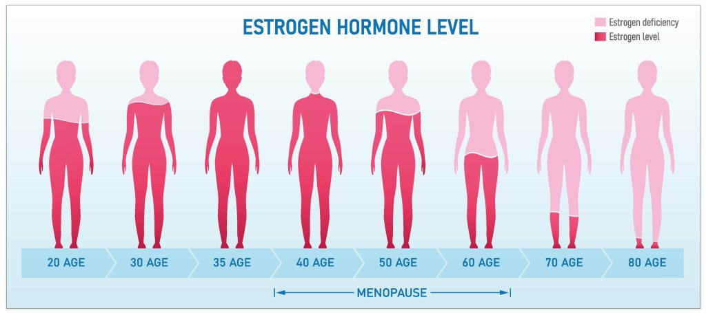 Illustration of oestrogen hormone levels in women over the course of a lifetime