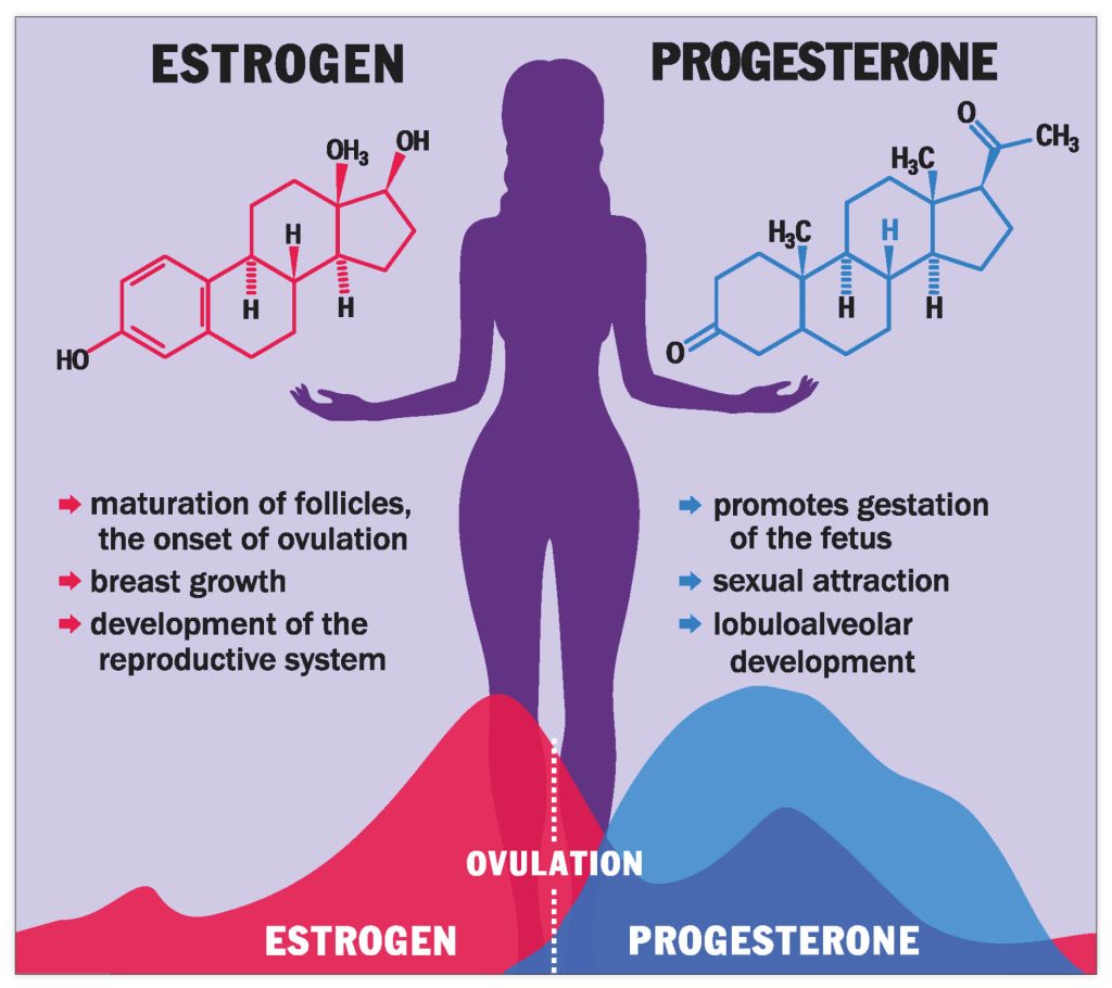Oestrogen and progesterone in women