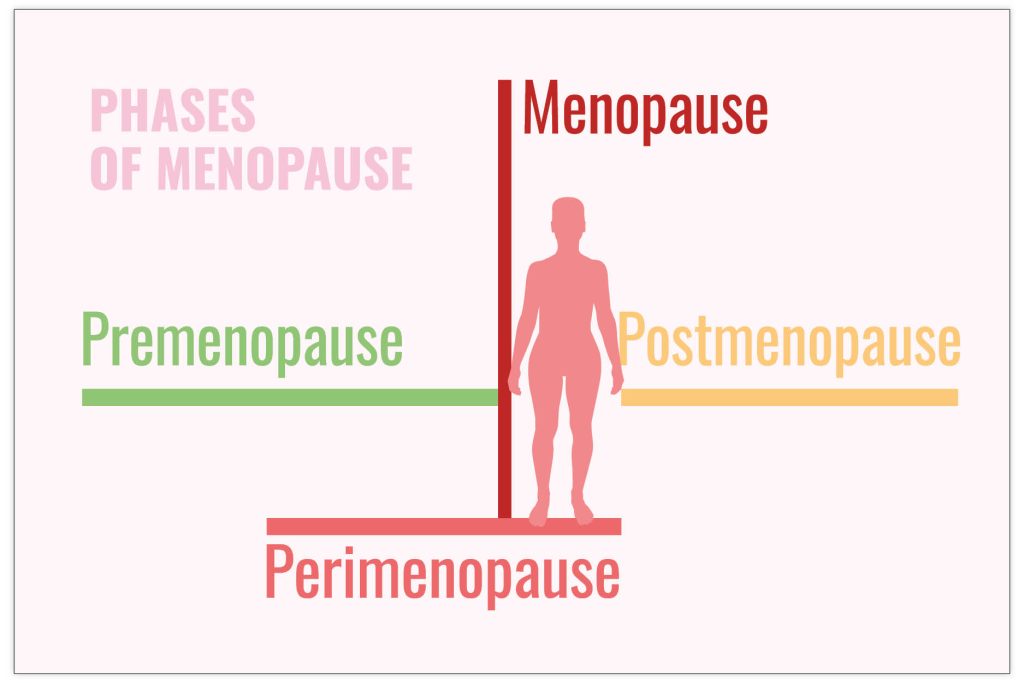 Illustration zu den Phasen der Menopause