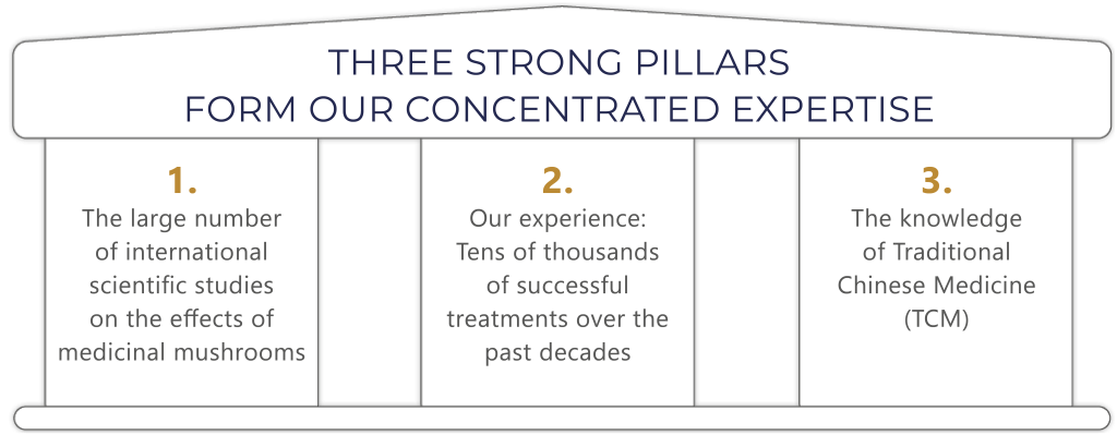 Presentation of the 3 strong pillars of mycotherapy training
