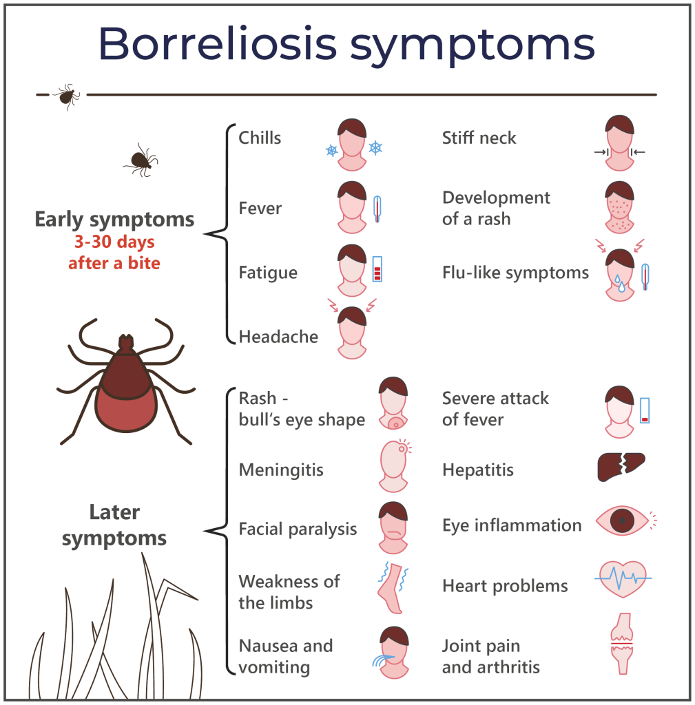 Graphic showing various symptoms of Lyme disease