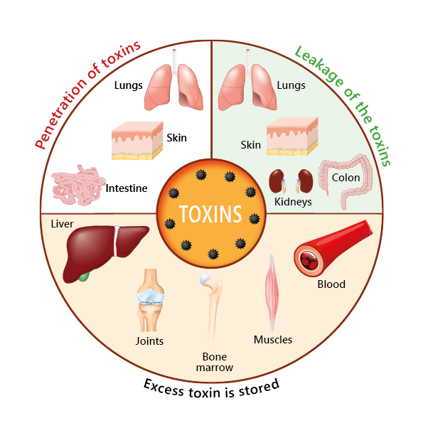 Graphical representation of environmental toxins